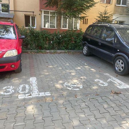Kitty Sunflower Apartment Алба-Юлія Екстер'єр фото