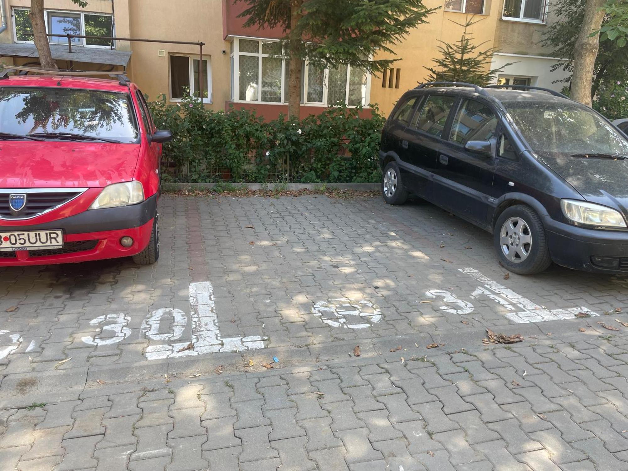 Kitty Sunflower Apartment Алба-Юлія Екстер'єр фото